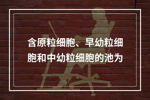 含原粒细胞、早幼粒细胞和中幼粒细胞的池为