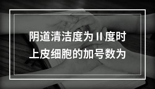 阴道清洁度为Ⅱ度时上皮细胞的加号数为