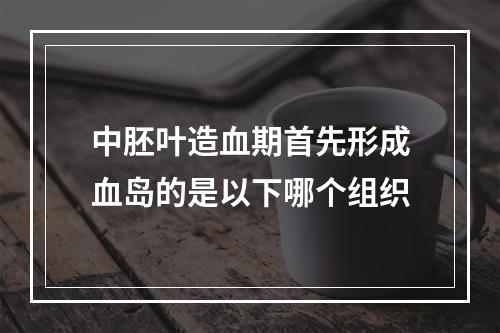 中胚叶造血期首先形成血岛的是以下哪个组织