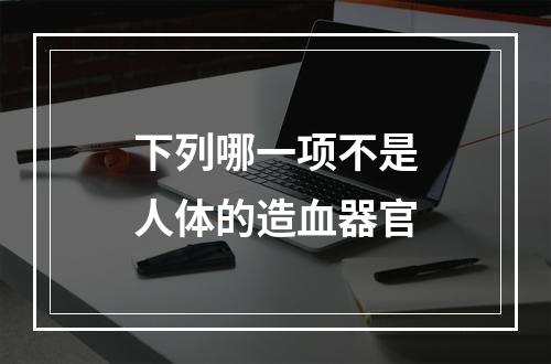 下列哪一项不是人体的造血器官