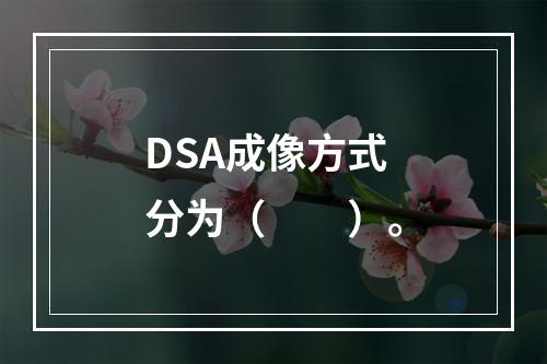 DSA成像方式分为（　　）。