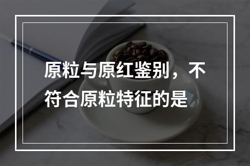 原粒与原红鉴别，不符合原粒特征的是