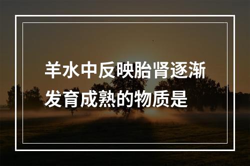 羊水中反映胎肾逐渐发育成熟的物质是