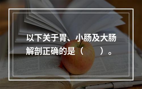 以下关于胃、小肠及大肠解剖正确的是（　　）。