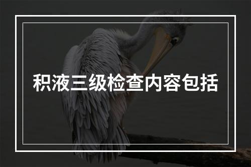 积液三级检查内容包括