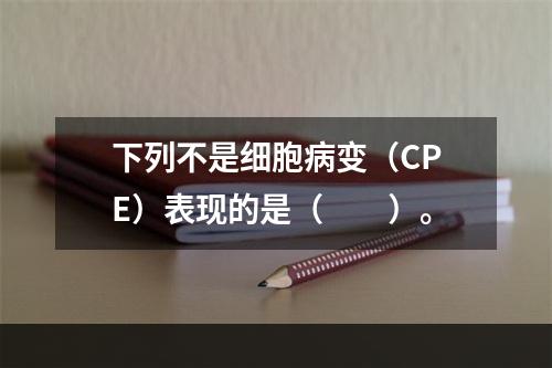 下列不是细胞病变（CPE）表现的是（　　）。