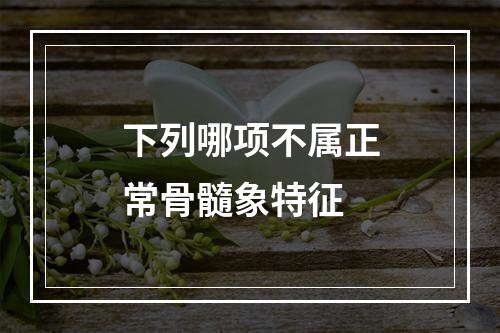 下列哪项不属正常骨髓象特征