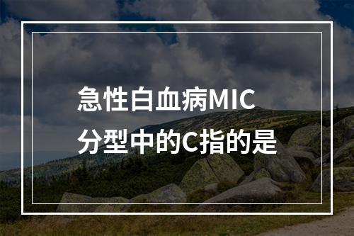 急性白血病MIC分型中的C指的是