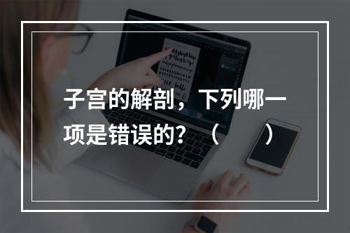 子宫的解剖，下列哪一项是错误的？（　　）