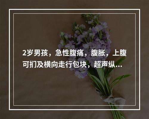 2岁男孩，急性腹痛，腹胀，上腹可扪及横向走行包块，超声纵断表