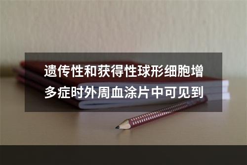 遗传性和获得性球形细胞增多症时外周血涂片中可见到