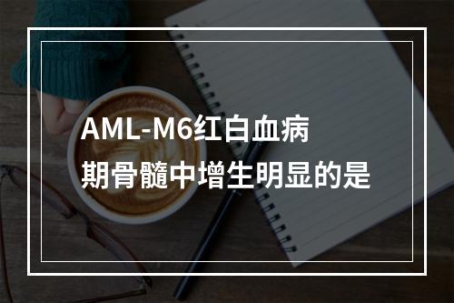 AML-M6红白血病期骨髓中增生明显的是