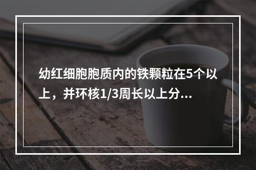 幼红细胞胞质内的铁颗粒在5个以上，并环核1/3周长以上分布，