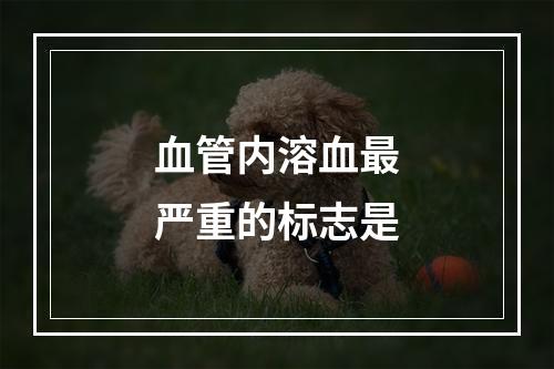 血管内溶血最严重的标志是