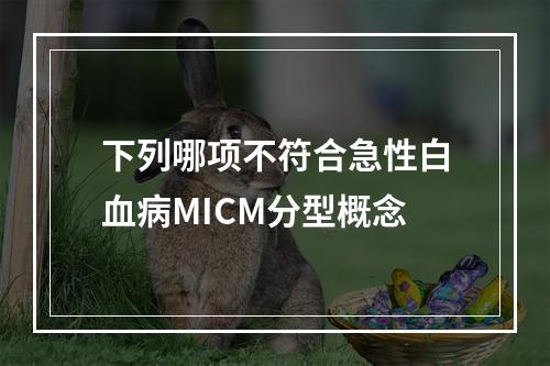 下列哪项不符合急性白血病MICM分型概念