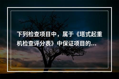 下列检查项目中，属于《塔式起重机检查评分表》中保证项目的有（