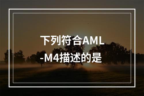 下列符合AML-M4描述的是