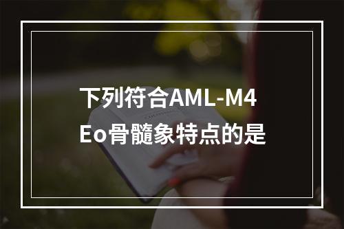 下列符合AML-M4Eo骨髓象特点的是