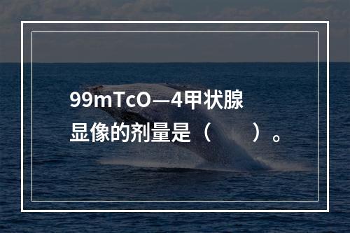 99mTcO—4甲状腺显像的剂量是（　　）。