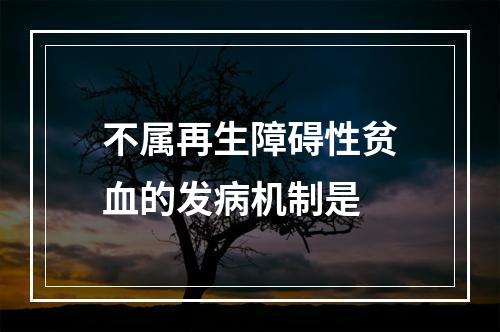 不属再生障碍性贫血的发病机制是