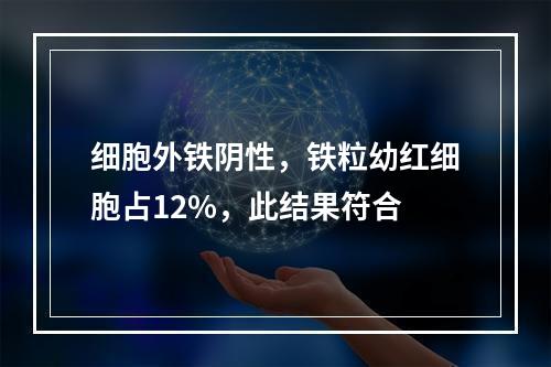 细胞外铁阴性，铁粒幼红细胞占12%，此结果符合