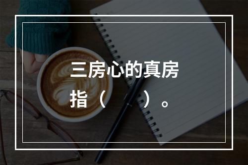 三房心的真房指（　　）。