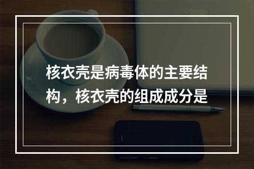 核衣壳是病毒体的主要结构，核衣壳的组成成分是