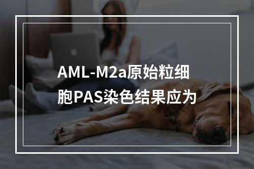 AML-M2a原始粒细胞PAS染色结果应为