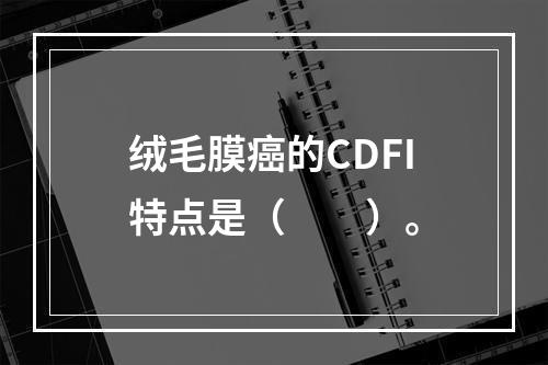 绒毛膜癌的CDFI特点是（　　）。