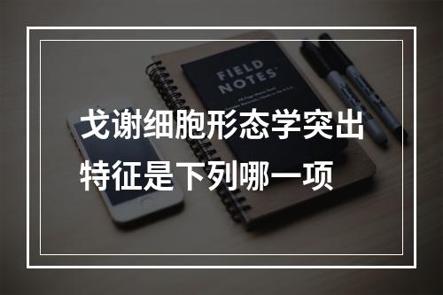 戈谢细胞形态学突出特征是下列哪一项