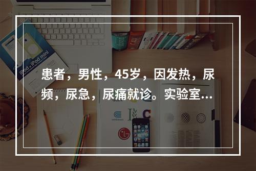 患者，男性，45岁，因发热，尿频，尿急，尿痛就诊。实验室检查