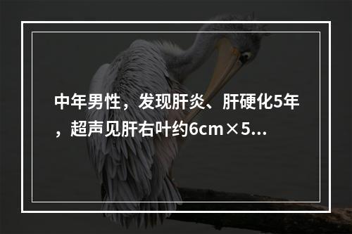 中年男性，发现肝炎、肝硬化5年，超声见肝右叶约6cm×5cm