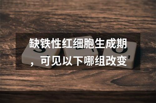 缺铁性红细胞生成期，可见以下哪组改变