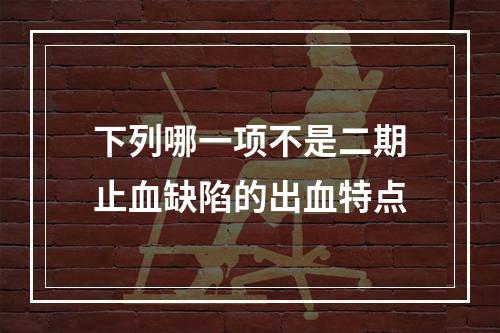 下列哪一项不是二期止血缺陷的出血特点