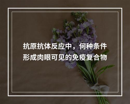 抗原抗体反应中，何种条件形成肉眼可见的免疫复合物