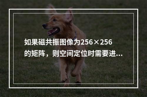 如果磁共振图像为256×256的矩阵，则空间定位时需要进行