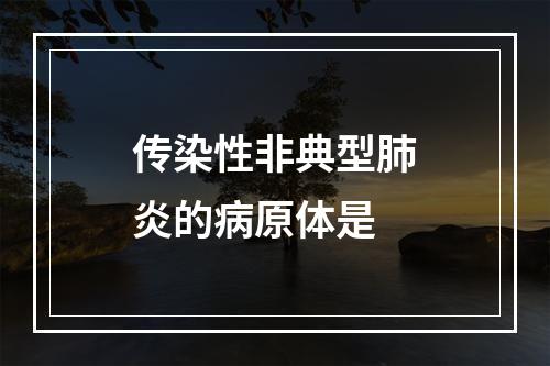 传染性非典型肺炎的病原体是