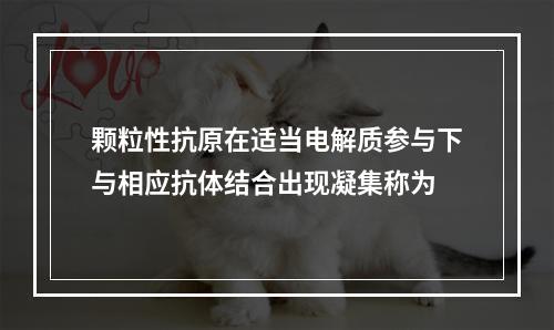 颗粒性抗原在适当电解质参与下与相应抗体结合出现凝集称为