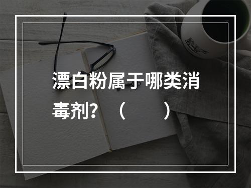 漂白粉属于哪类消毒剂？（　　）