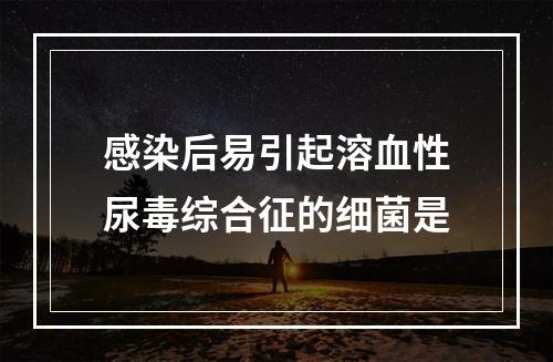 感染后易引起溶血性尿毒综合征的细菌是