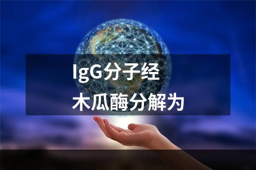 IgG分子经木瓜酶分解为