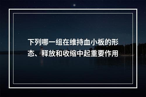 下列哪一组在维持血小板的形态、释放和收缩中起重要作用