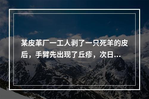 某皮革厂一工人剥了一只死羊的皮后，手臂先出现了丘疹，次日疹顶