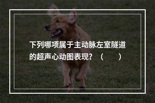 下列哪项属于主动脉左室隧道的超声心动图表现？（　　）