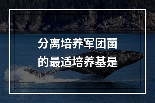 分离培养军团菌的最适培养基是