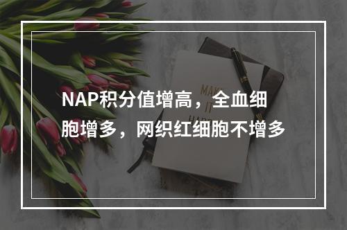 NAP积分值增高，全血细胞增多，网织红细胞不增多