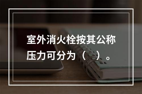 室外消火栓按其公称压力可分为（　）。