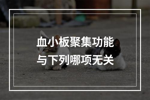 血小板聚集功能与下列哪项无关