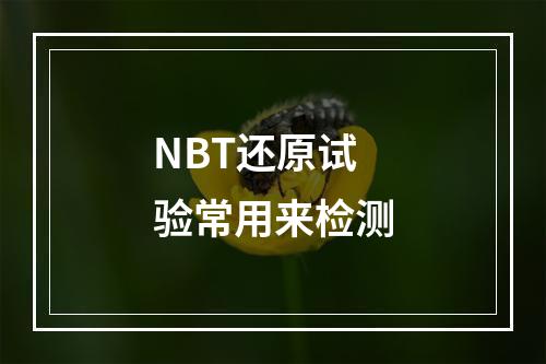 NBT还原试验常用来检测