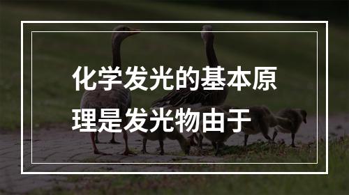 化学发光的基本原理是发光物由于